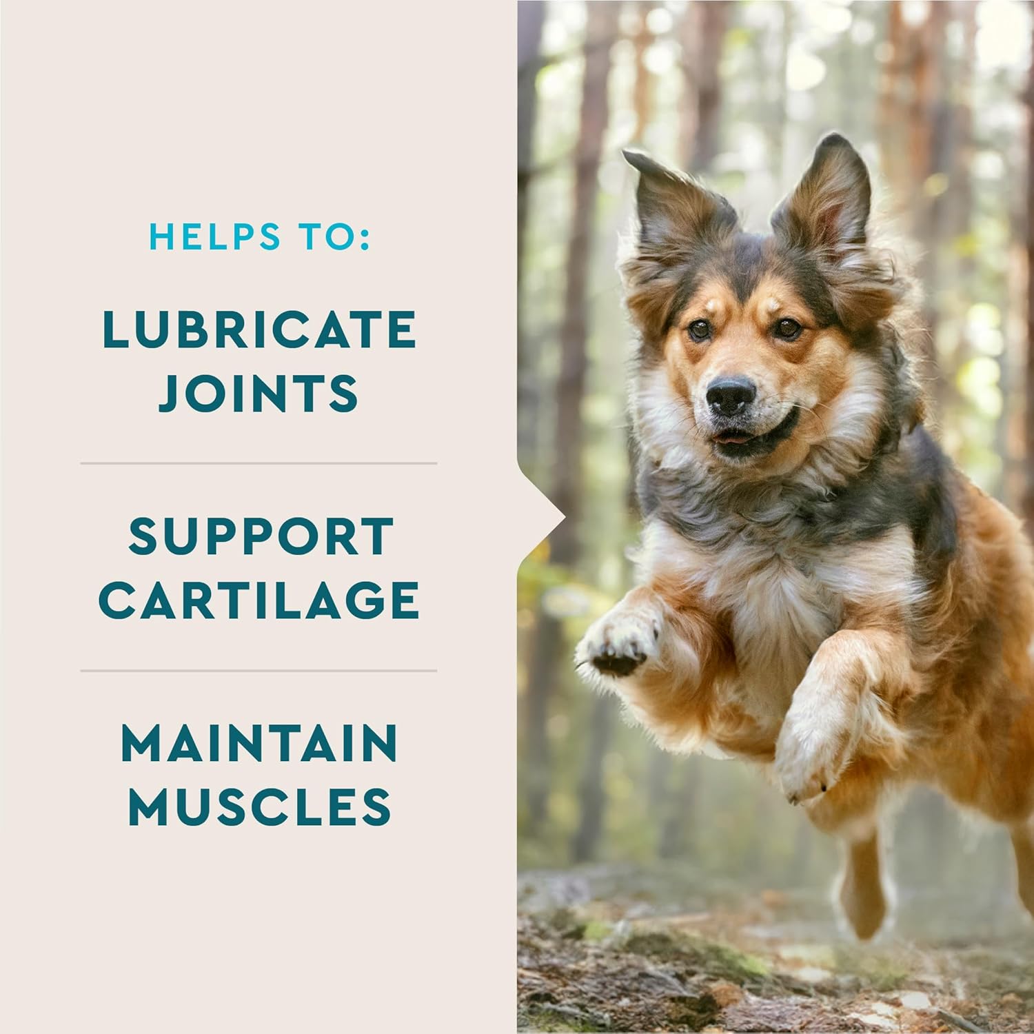 VetIQ Glucosamine Hip & Joint Supplement for Dogs, 180 Soft Chews, Dog Joint Support Supplement with MSM and Krill, Dog Health Supplies Large & Small Breed, Chicken Flavored Chewables - Image 5