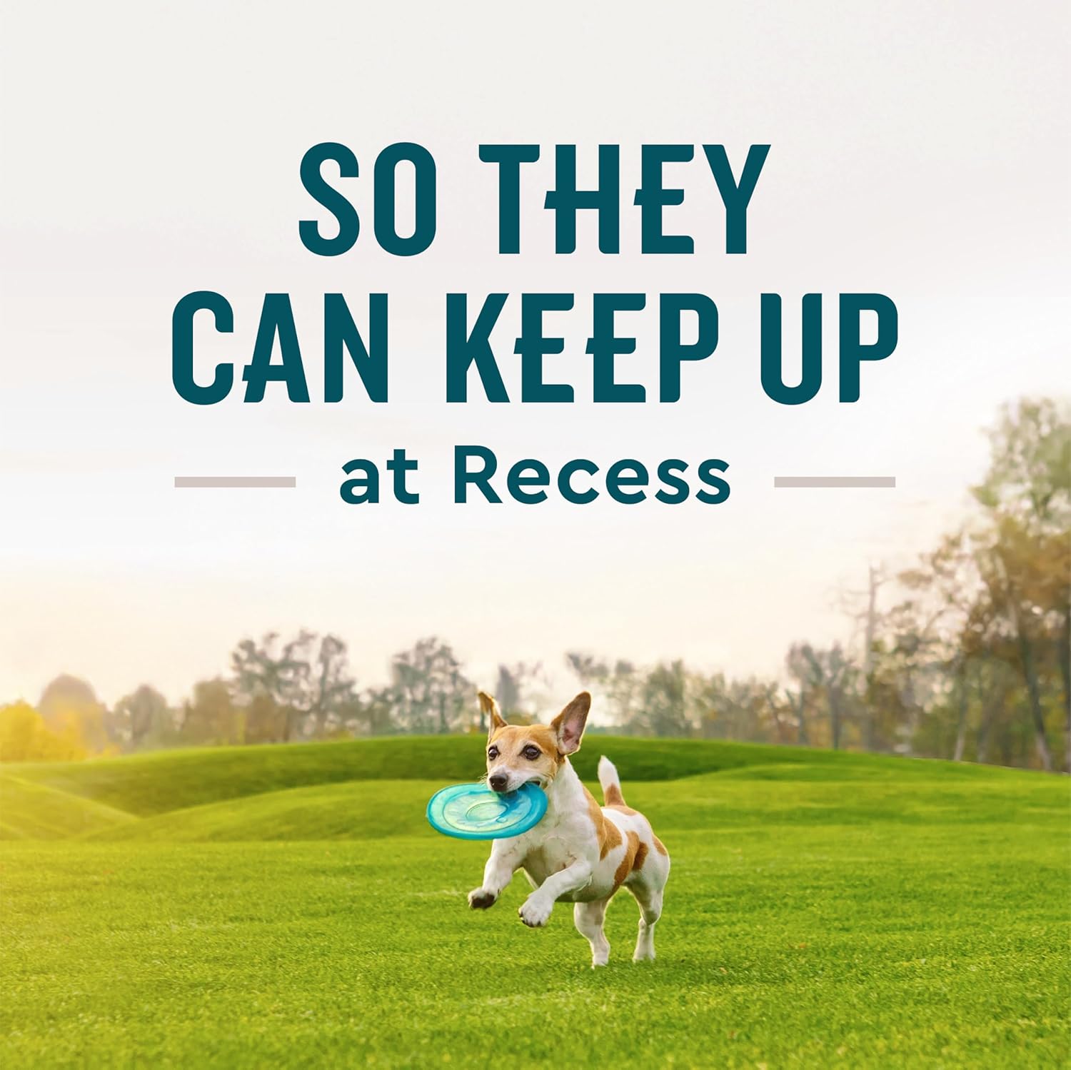 VetIQ Glucosamine Hip & Joint Supplement for Dogs, 180 Soft Chews, Dog Joint Support Supplement with MSM and Krill, Dog Health Supplies Large & Small Breed, Chicken Flavored Chewables - Image 4